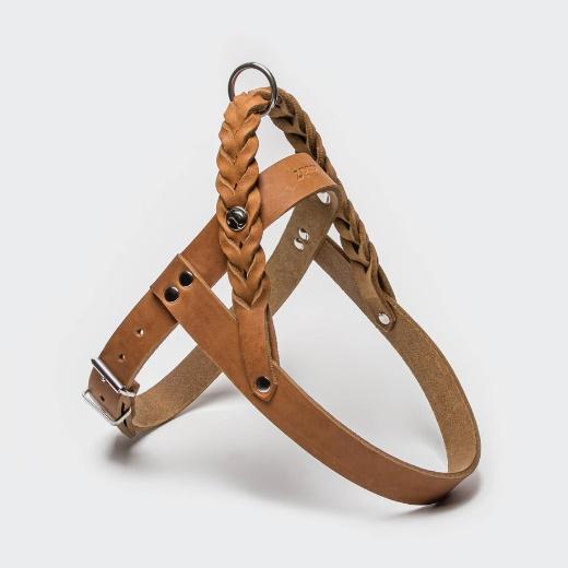 Cloud7｜Harness Central Park Camel